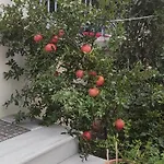 Appartement Dora's With Garden
