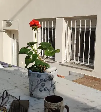 Dora's With Garden Apartment